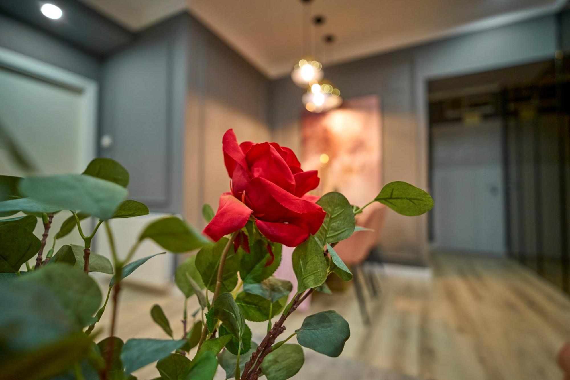 Apartamento Cozy Glow Loft Bucarest